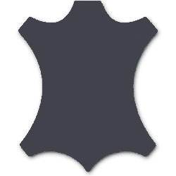Leder silvernight